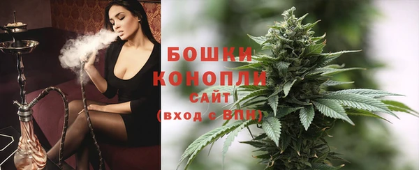 стаф Магадан