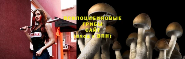 марки lsd Лиски