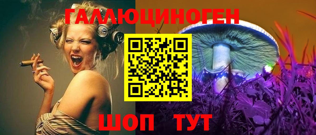 Галлюциногенные грибы прущие грибы  Вход с VPN  Углич 
