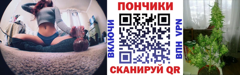 Марихуана OG Kush  наркота  Углич 
